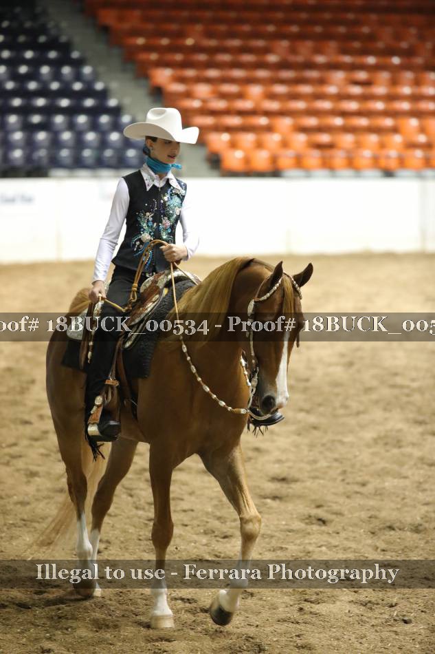 Proof 18BUCK_00534