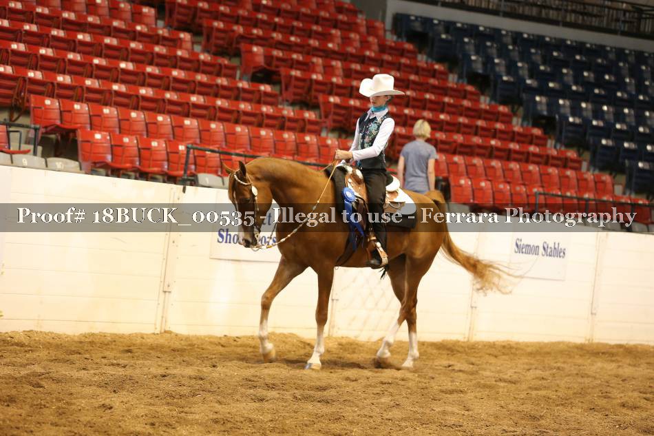 Proof 18BUCK_00535