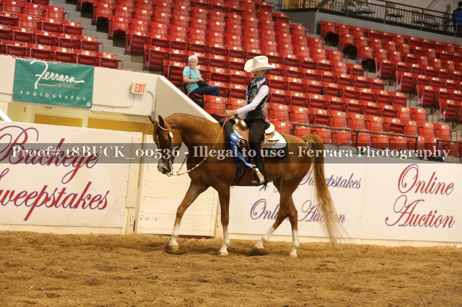 Proof 18BUCK_00536
