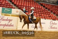 18BUCK_00536 proof