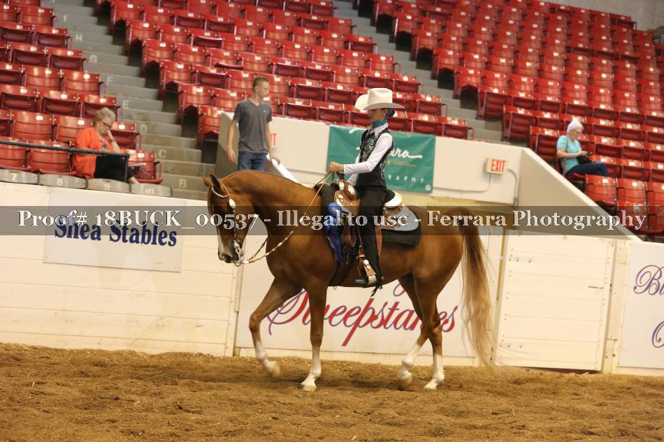 Proof 18BUCK_00537