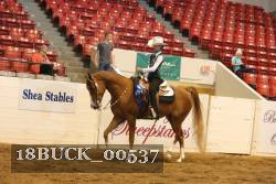 18BUCK_00537 proof