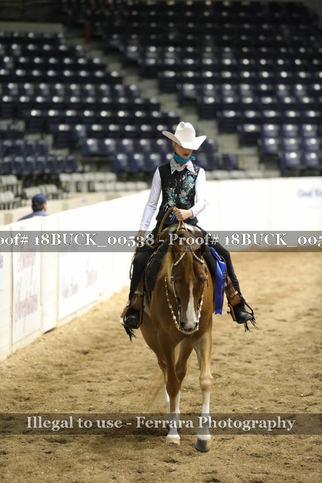 Proof 18BUCK_00538