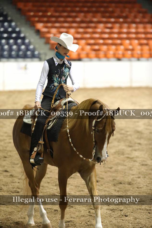 Proof 18BUCK_00539