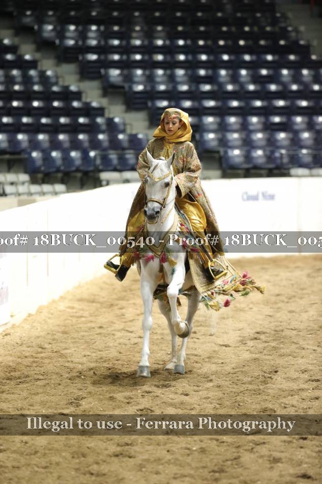 Proof 18BUCK_00540