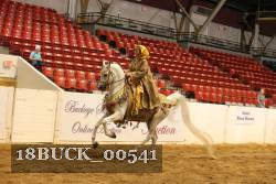 18BUCK_00541 proof