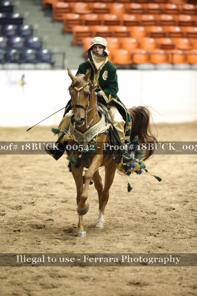 Proof 18BUCK_00542