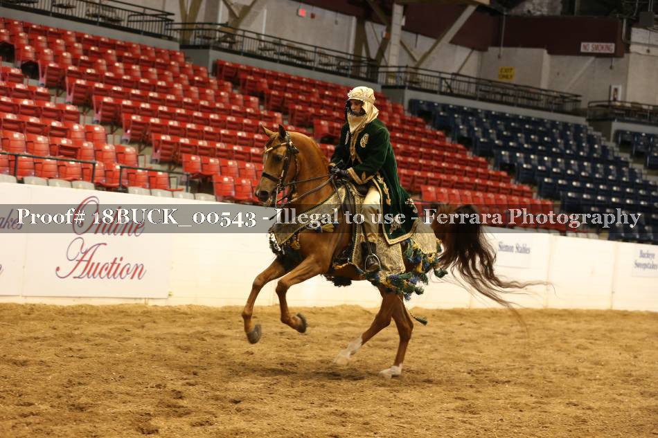 Proof 18BUCK_00543