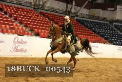 18BUCK_00543 proof