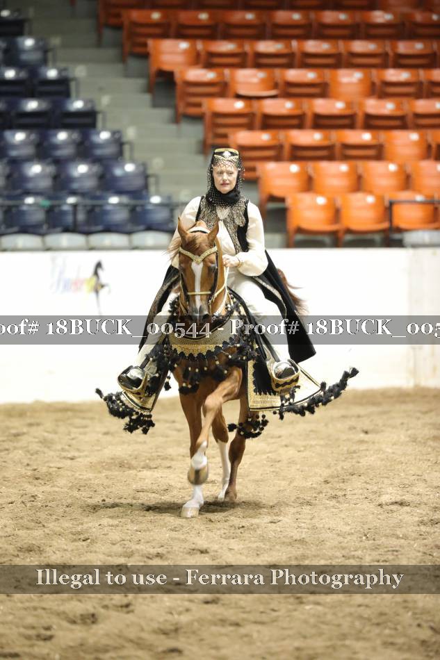 Proof 18BUCK_00544