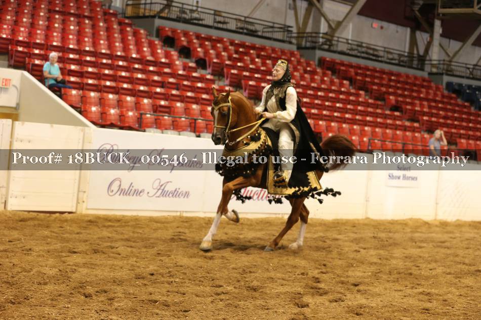Proof 18BUCK_00546