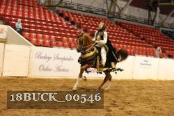 18BUCK_00546 proof