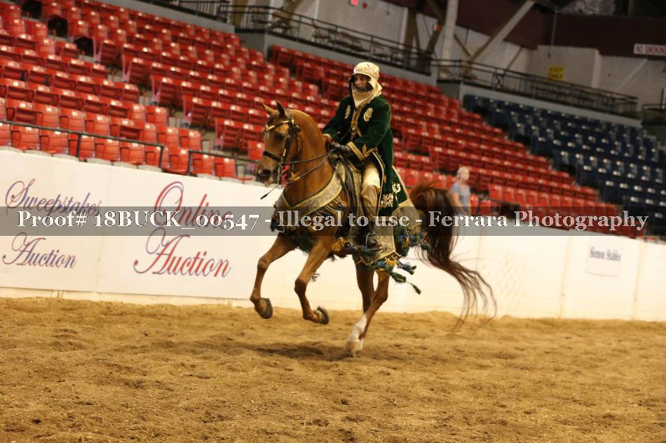 Proof 18BUCK_00547