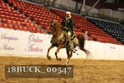 18BUCK_00547 proof