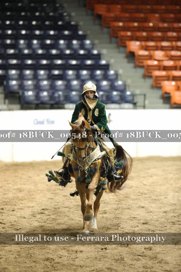 Proof 18BUCK_00548
