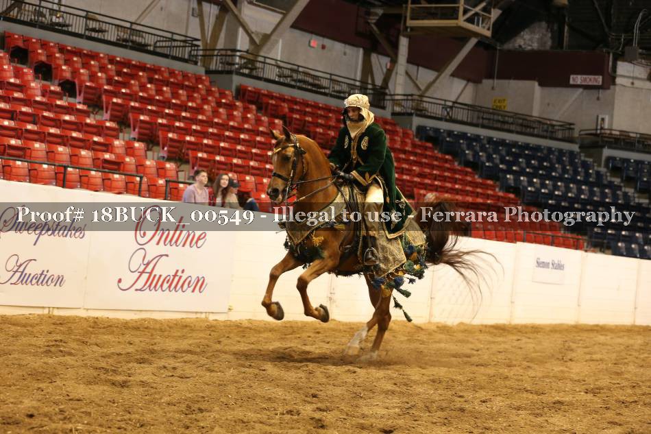 Proof 18BUCK_00549