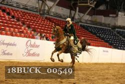 18BUCK_00549 proof