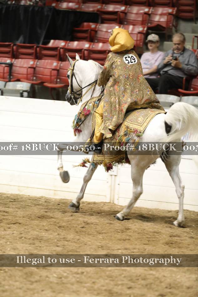 Proof 18BUCK_00550
