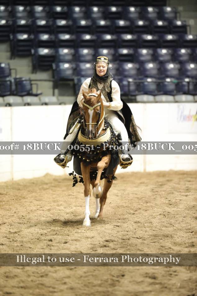Proof 18BUCK_00551