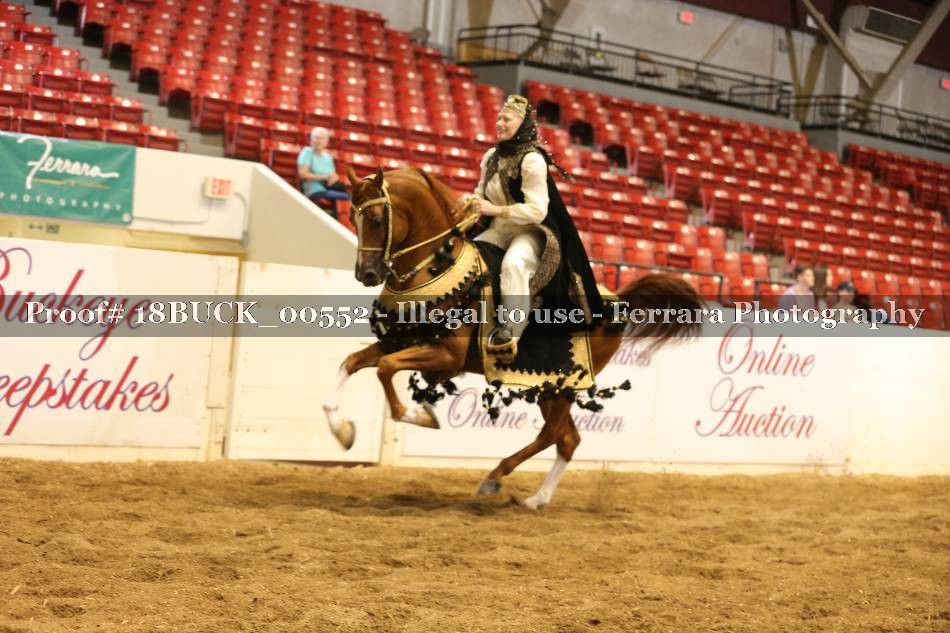 Proof 18BUCK_00552