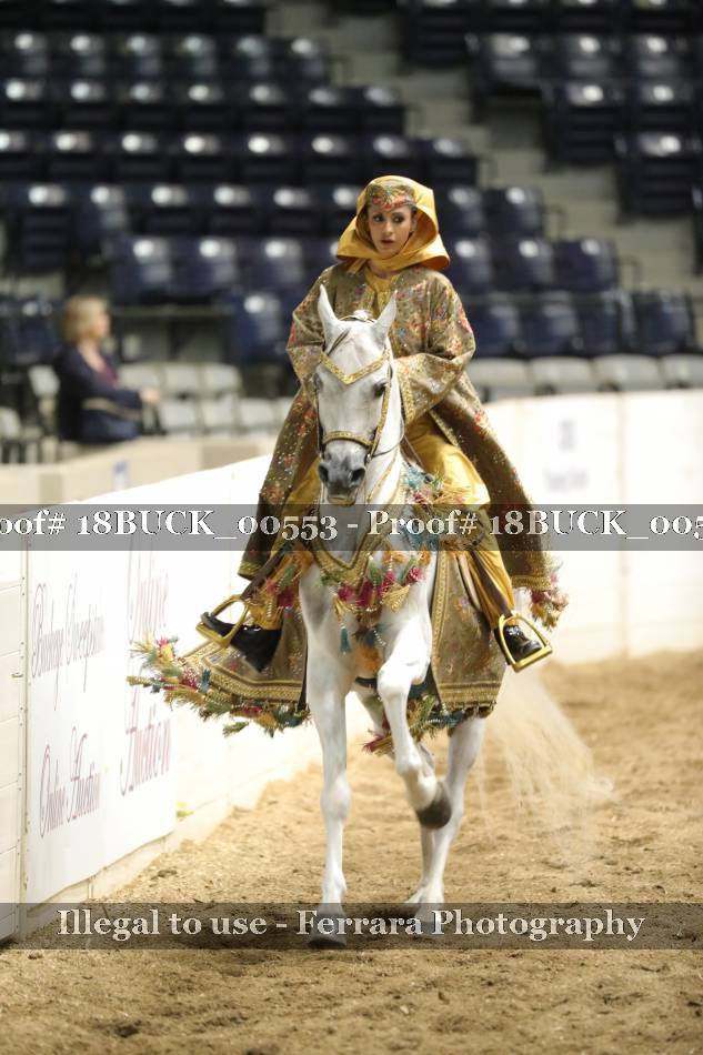 Proof 18BUCK_00553