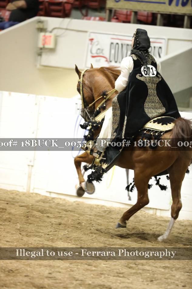 Proof 18BUCK_00554