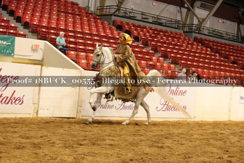 Proof 18BUCK_00555