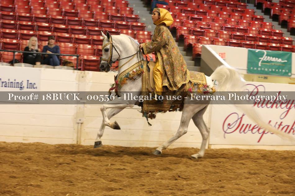 Proof 18BUCK_00556