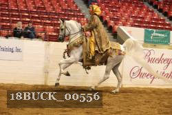 18BUCK_00556 proof
