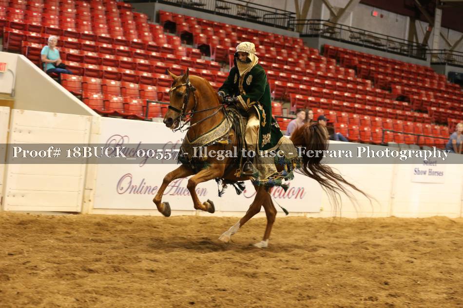 Proof 18BUCK_00557