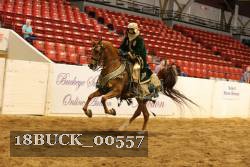 18BUCK_00557 proof