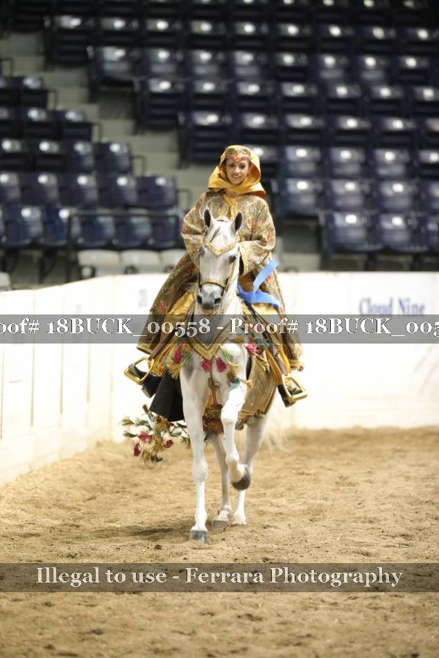 Proof 18BUCK_00558