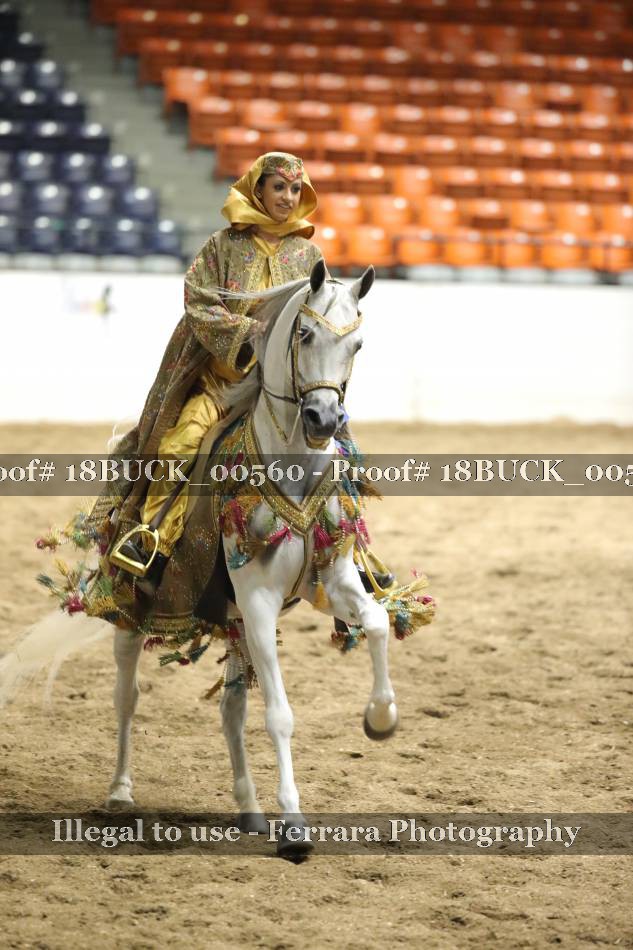 Proof 18BUCK_00560