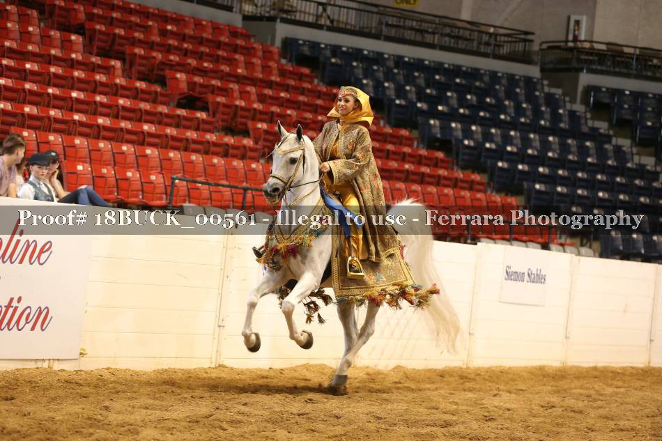 Proof 18BUCK_00561