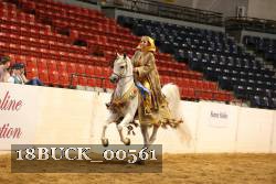 18BUCK_00561 proof