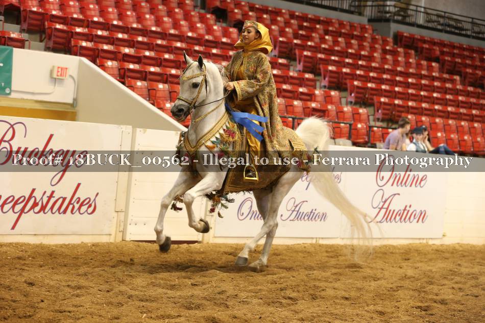 Proof 18BUCK_00562
