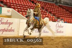 18BUCK_00562 proof