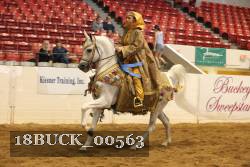 18BUCK_00563 proof