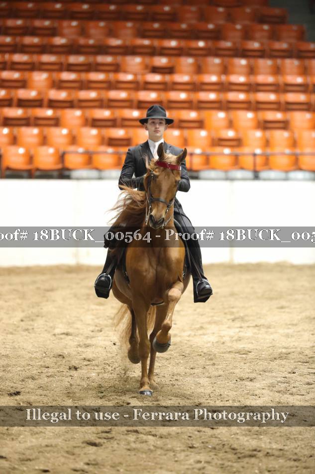 Proof 18BUCK_00564