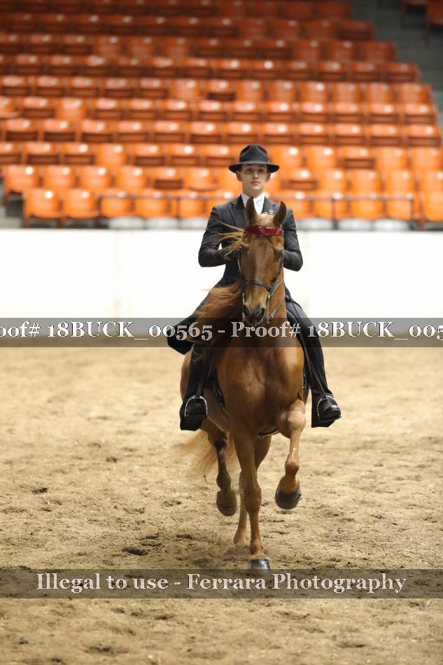 Proof 18BUCK_00565