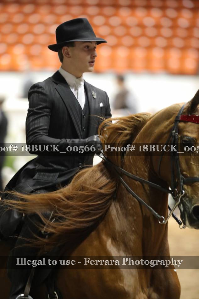 Proof 18BUCK_00566