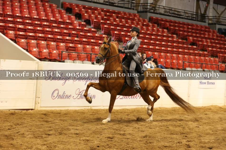 Proof 18BUCK_00569