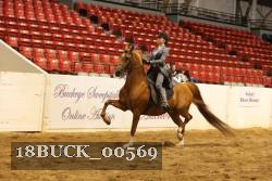 18BUCK_00569 proof