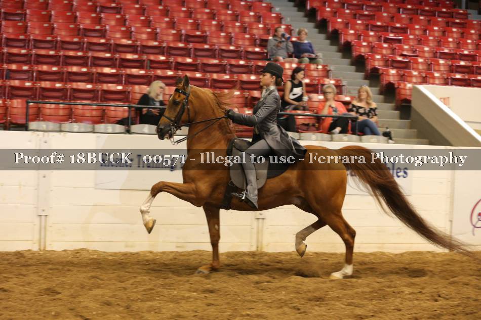 Proof 18BUCK_00571