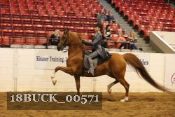 18BUCK_00571 proof