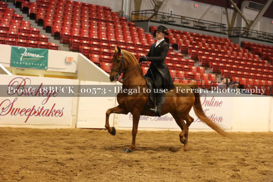 Proof 18BUCK_00573