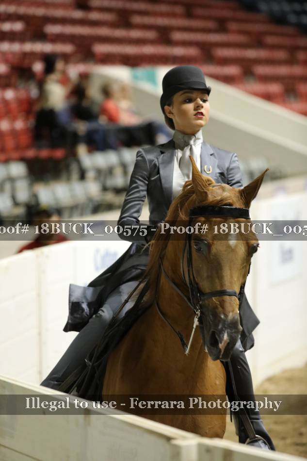 Proof 18BUCK_00575