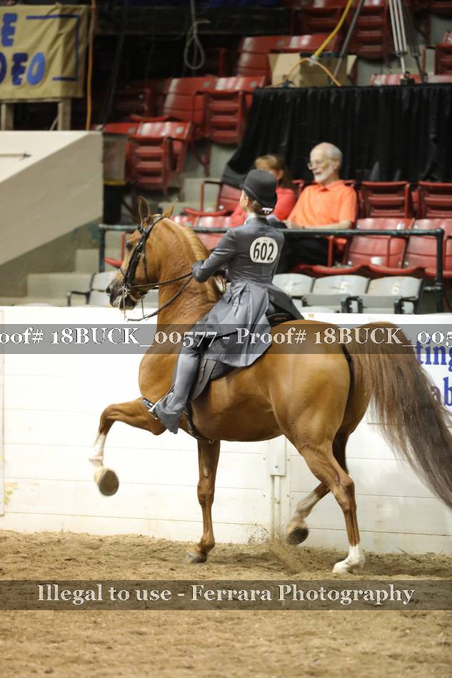 Proof 18BUCK_00577
