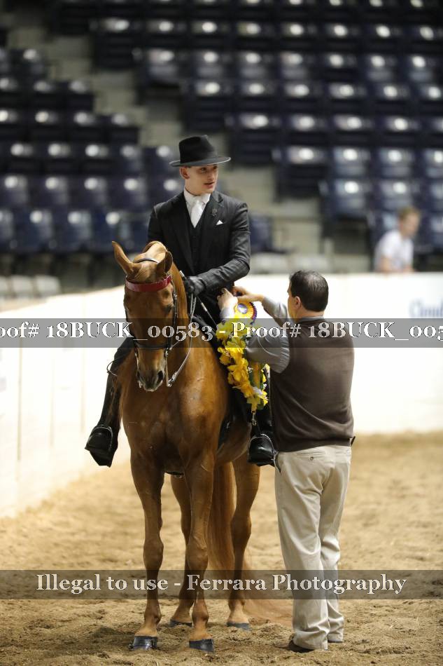 Proof 18BUCK_00583