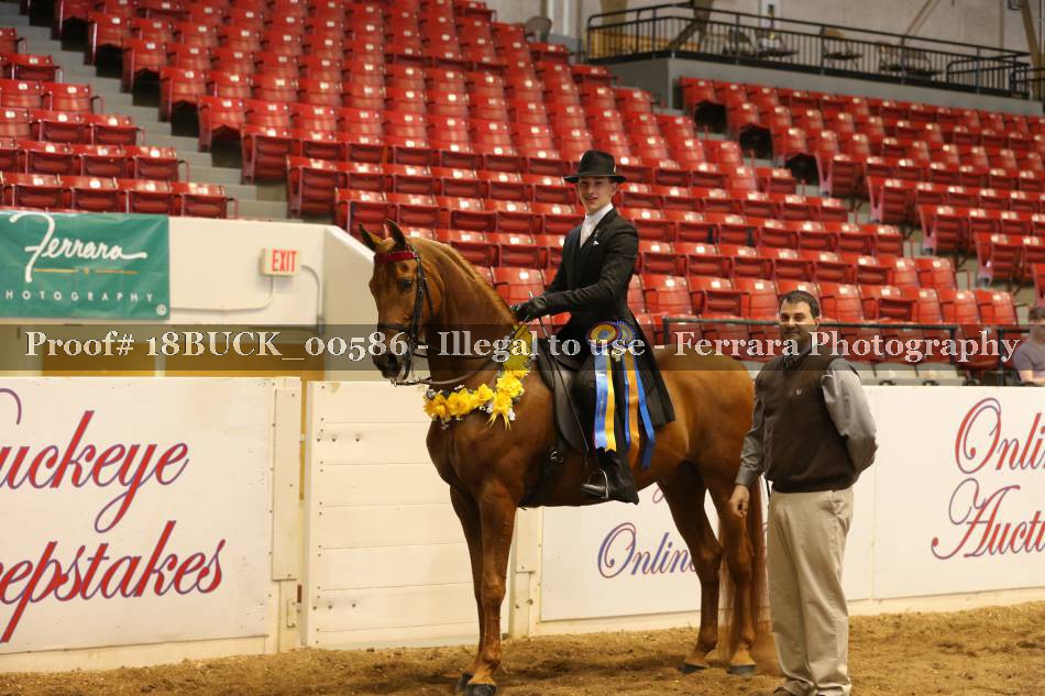 Proof 18BUCK_00586